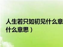 人生若只如初見什么意思何事秋風(fēng)悲畫扇（人生若只如初見什么意思）