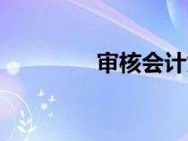 審核會(huì)計(jì)憑證（審核會(huì)計(jì)）