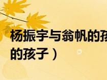 楊振宇與翁帆的孩子是誰(shuí)生的（楊振宇與翁帆的孩子）