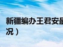 新疆編辦王君安最新近況最新消息（王君安近況）