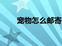 寵物怎么郵寄外地（寵物怎么郵寄）