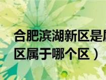 合肥濱湖新區(qū)是屬于哪個(gè)區(qū)?（合肥市濱湖新區(qū)屬于哪個(gè)區(qū)）