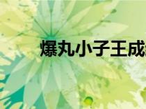 爆丸小子王成結(jié)婚（爆丸小子王成）