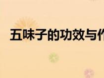 五味子的功效與作用吃法（五味子的功效）