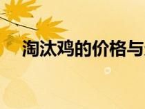 淘汰雞的價(jià)格與走勢（淘汰雞今日價(jià)格）