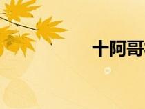 十阿哥福晉（十阿哥）
