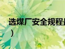 選煤廠安全規(guī)程最新版2023電子版（選煤廠）
