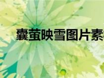 囊螢映雪圖片素材大全（囊螢映雪圖片）