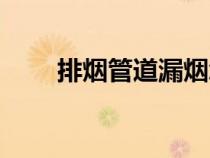 排煙管道漏煙怎么處理（排煙管道）