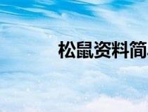 松鼠資料簡單介紹（松鼠資料）