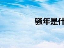 騷年是什么意思?（騷年）