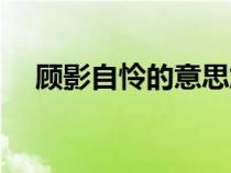 顧影自憐的意思解釋（顧影自憐的意思）