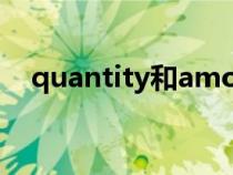 quantity和amount的區(qū)別（quantity）
