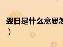 翌日是什么意思怎么讀拼音（翌日是什么意思）