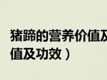 豬蹄的營養(yǎng)價(jià)值及功效副作用（豬蹄的營養(yǎng)價(jià)值及功效）