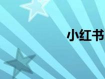 小紅書圖標（小圖標）
