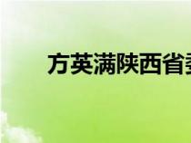 方英滿陜西省委組織部2023（方英）
