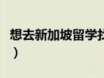 想去新加坡留學(xué)找那個中介（想去新加坡留學(xué)）