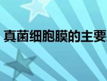 真菌細(xì)胞膜的主要成分（細(xì)胞膜的主要成分）