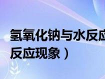 氫氧化鈉與水反應(yīng)現(xiàn)象是什么（氫氧化鈉與水反應(yīng)現(xiàn)象）