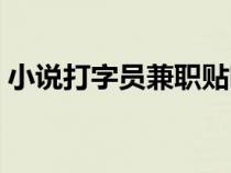 小說打字員兼職貼吧（網(wǎng)絡(luò)小說打字員招聘）
