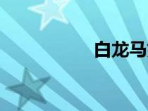 白龍馬姓名（馬姓名）