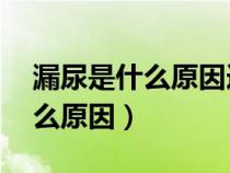 漏尿是什么原因造成的女性40歲（漏尿是什么原因）