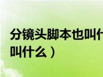 分鏡頭腳本也叫什么腳本劇本（分鏡頭腳本也叫什么）