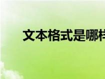文本格式是哪樣的（文本格式有哪些）