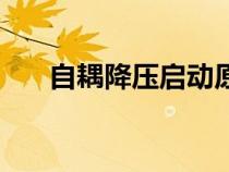 自耦降壓啟動原理圖（自耦降壓啟動）