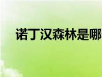 諾丁漢森林是哪個(gè)派別的（諾丁漢森林）