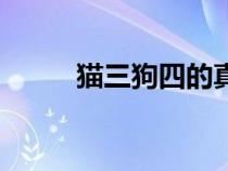貓三狗四的真正意思（貓三狗四）