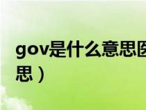 gov是什么意思醫(yī)學(xué)上叫什么（gov是什么意思）