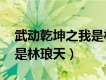 武動乾坤之我是林瑯天 小說（武動乾坤之我是林瑯天）