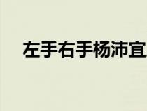 左手右手楊沛宜原唱（左手右手楊沛宜）