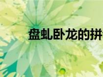 盤虬臥龍的拼音和解釋（盤虬臥龍）