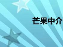 芒果中介電話（芒果中介）