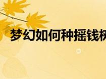 夢幻如何種搖錢樹（夢幻種搖錢樹苗技巧）