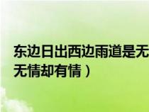 東邊日出西邊雨道是無(wú)情卻有情意思（東邊日出西邊雨道是無(wú)情卻有情）