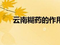 云南糊藥的作用（云南糊藥官方網站）