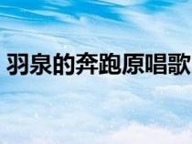 羽泉的奔跑原唱歌曲（羽泉奔跑歌詞完整版）