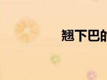 翹下巴的男人（翹下巴）