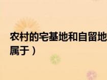 農(nóng)村的宅基地和自留地自留山屬于（宅基地和自留地自留山屬于）