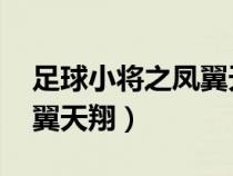 足球小將之鳳翼天翔 在北方（足球小將之鳳翼天翔）