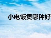小電飯煲哪種好（小電飯煲哪個牌子好）