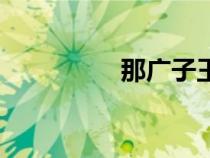 那廣子王書琪（那廣子）