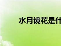 水月鏡花是什么意思?（水月鏡花）