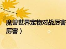 魔獸世界寵物對戰(zhàn)厲害的寵物（魔獸世界寵物對戰(zhàn)什么寵物厲害）