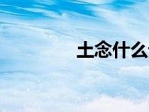 土念什么詞（土于念什么）