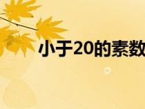 小于20的素?cái)?shù)有哪些（素?cái)?shù)有哪些）